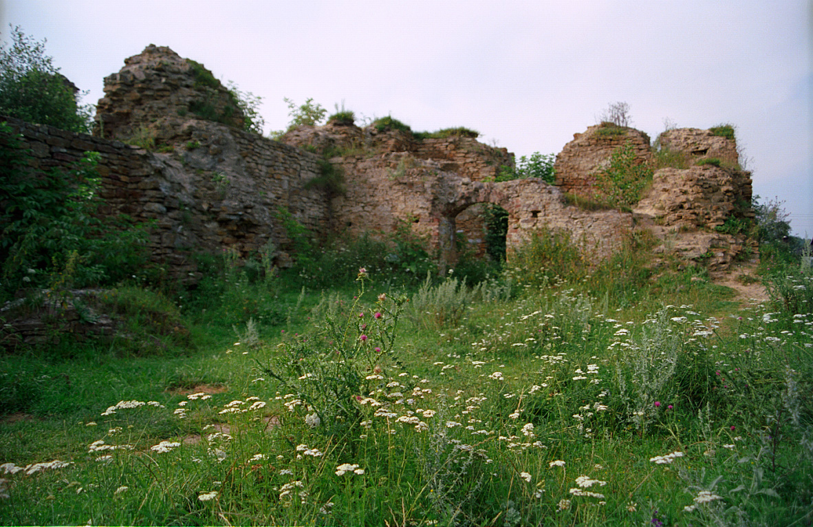 Ruiny zamku w Inowłodzu przed rekonstrukcją