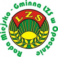 Mistrzostwa Gminy Opoczno w Piłce Siatkowej Mężczyzn – Opoczno 2014