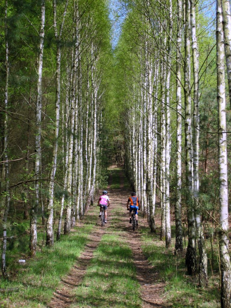 Górska Jazda w Centrum Polski - Brzeziny 2013