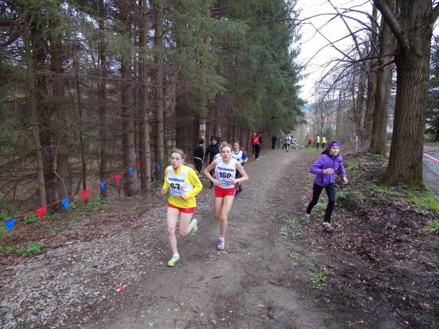 Dwa indywidualne złota i drużynowe srebro