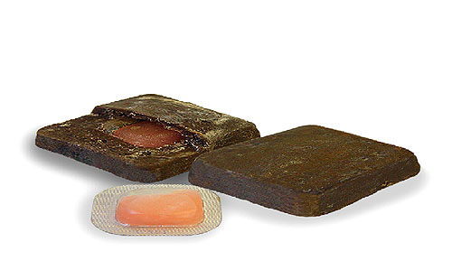 Wiosenne szczepienie lisów