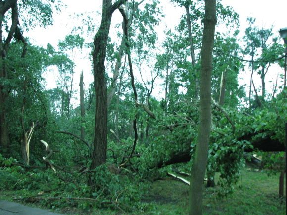 Orkan "Aleksandra" w Polsce: Ostrzeżenie przed silnym wiatrem. 