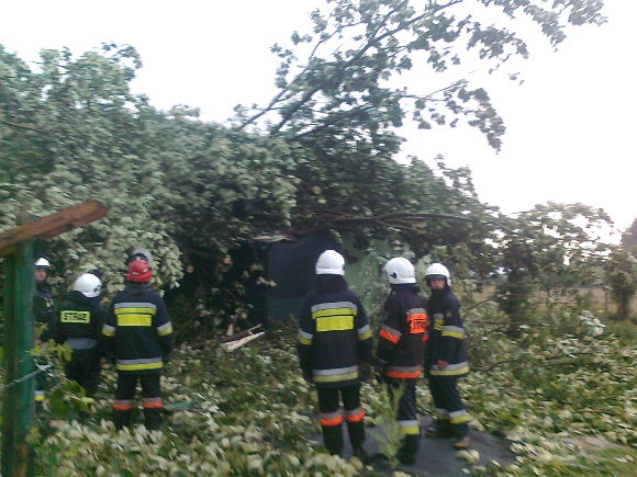 Akcja usuwania powalonych drzew - 2 topole przewróciły się na budynek mieszkalny w Joaniowie, gm. Paradyż