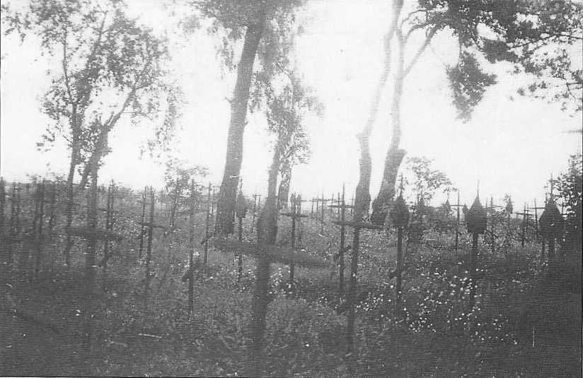 Cmentarz wojenny na cmentarzu cholerycznym - stan pierwotny